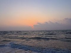 -日照海滨国家森林公园