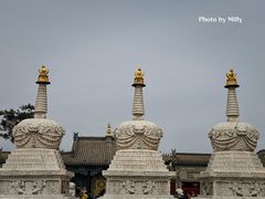 -大召无量寺