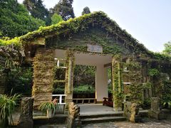 -南山植物园