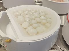 -龍歌自助小火锅(李沧顺和汇店)