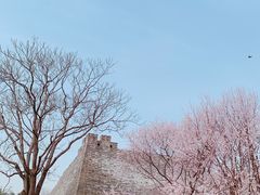 -北京明城墙遗址公园