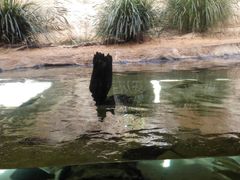 -悉尼海洋生物水族馆