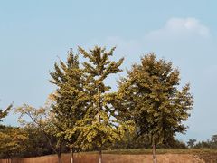 -良渚古城遗址公园