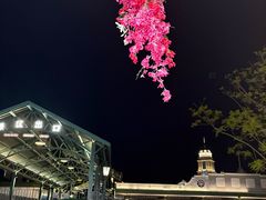 -赤坎古镇影视城