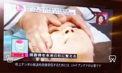 -颜和骨正·明哲式骨相美学整骨