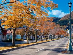 -成都濑川外国语学校