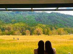 -塔川景区