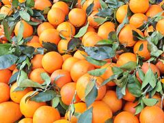 -南坛综合农贸市场