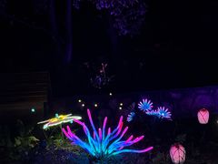 -沈阳植物园