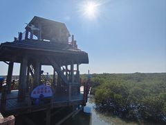 -北海金海湾红树林生态旅游区
