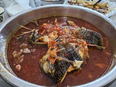 -风鑫铃罗非鱼(道沟店)