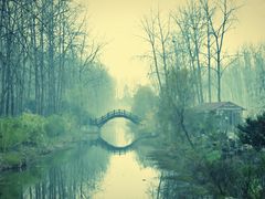 -合肥滨湖国家森林公园