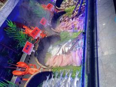 -阪尚皇·原切牛排·烤肉火锅自助(北京路店)