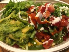 -油梨树 AVOCADO TREE(亮马桥店)