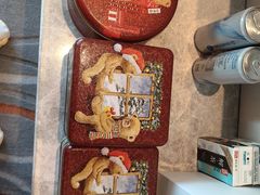 -珍妮曲奇聪明小熊(尖沙咀店)
