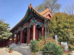 -戏马台景区