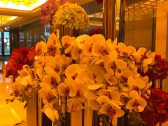 -香港城市花园酒店