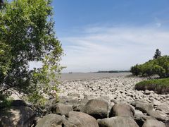 -上海吴淞炮台湾国家湿地公园