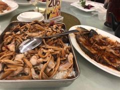 -老洋坊饭店(厚街东宝路店)