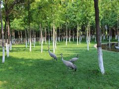 -艾溪湖湿地公园