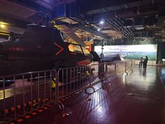 -泰达航母主题公园