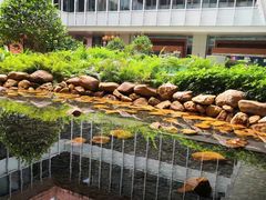 -香港大学