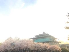 -武汉大学-樱园