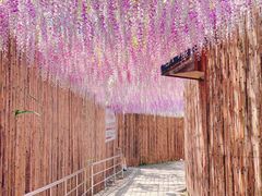 -沙县小吃文化城