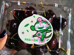 -百果园PAGODA(沿海赛洛城店)