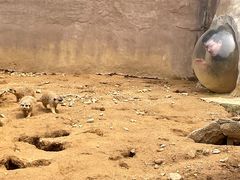 -杭州野生动物世界