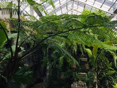 -国家植物园南园