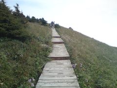 -白草畔自然风景区