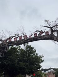 -番禺儿童公园