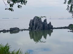 -上海吴淞炮台湾国家湿地公园