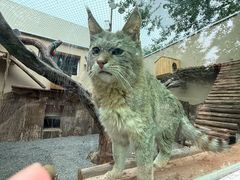 -青藏高原野生动物园