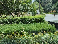 -厦门艾美酒店·新食谱西餐厅