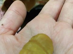 -小叶佳栗子(昌平店)