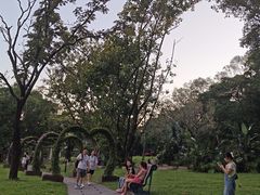 -莲花山公园