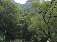 -少华山国家森林公园