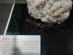 -中国第四纪冰川遗迹陈列馆