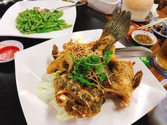 -無招牌海鮮(芽笼店)