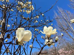 -永定河休闲森林公园