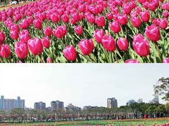 -大宁公园