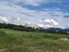 -皇思扬古围村