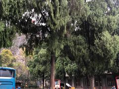 -桂林独秀峰王城景区
