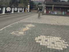 -北京鹫峰国家森林公园