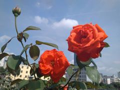 -马路边边麻辣烫联盟路店