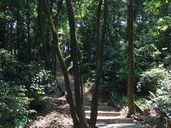 -广州市帽峰山景区