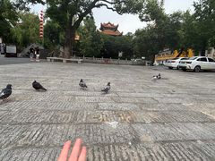 -武汉五月花大酒店(武昌火车站中南路地铁站店)