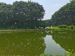 -广州长隆飞鸟乐园
